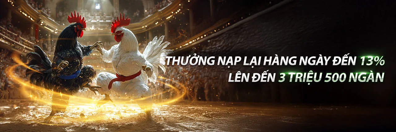 Hình ảnh giới thiệu nohu 52 chính thức - Nền tảng giải trí trực tuyến hàng đầu