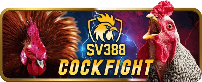 Chương Trình Hoàn Trả nohu 52